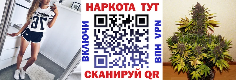 Где можно купить наркотики Пятигорск ГАШ APVP Меф мяу мяу