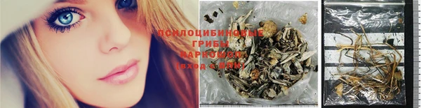 соль ск Богородицк